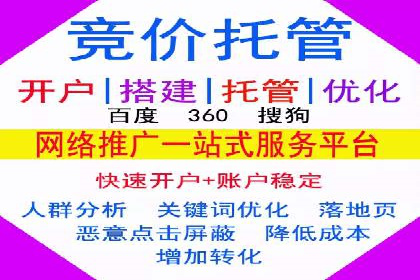 行业领先企业的网站sem托管实践